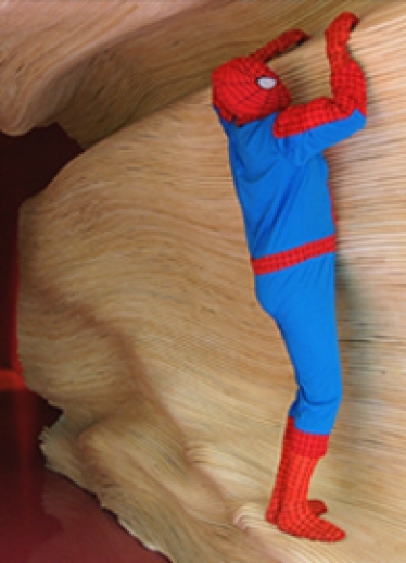 20141002031049_Spiderman_vignette_2.jpg